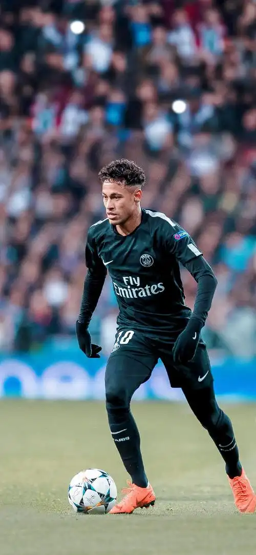 他的职业生 他的职业生